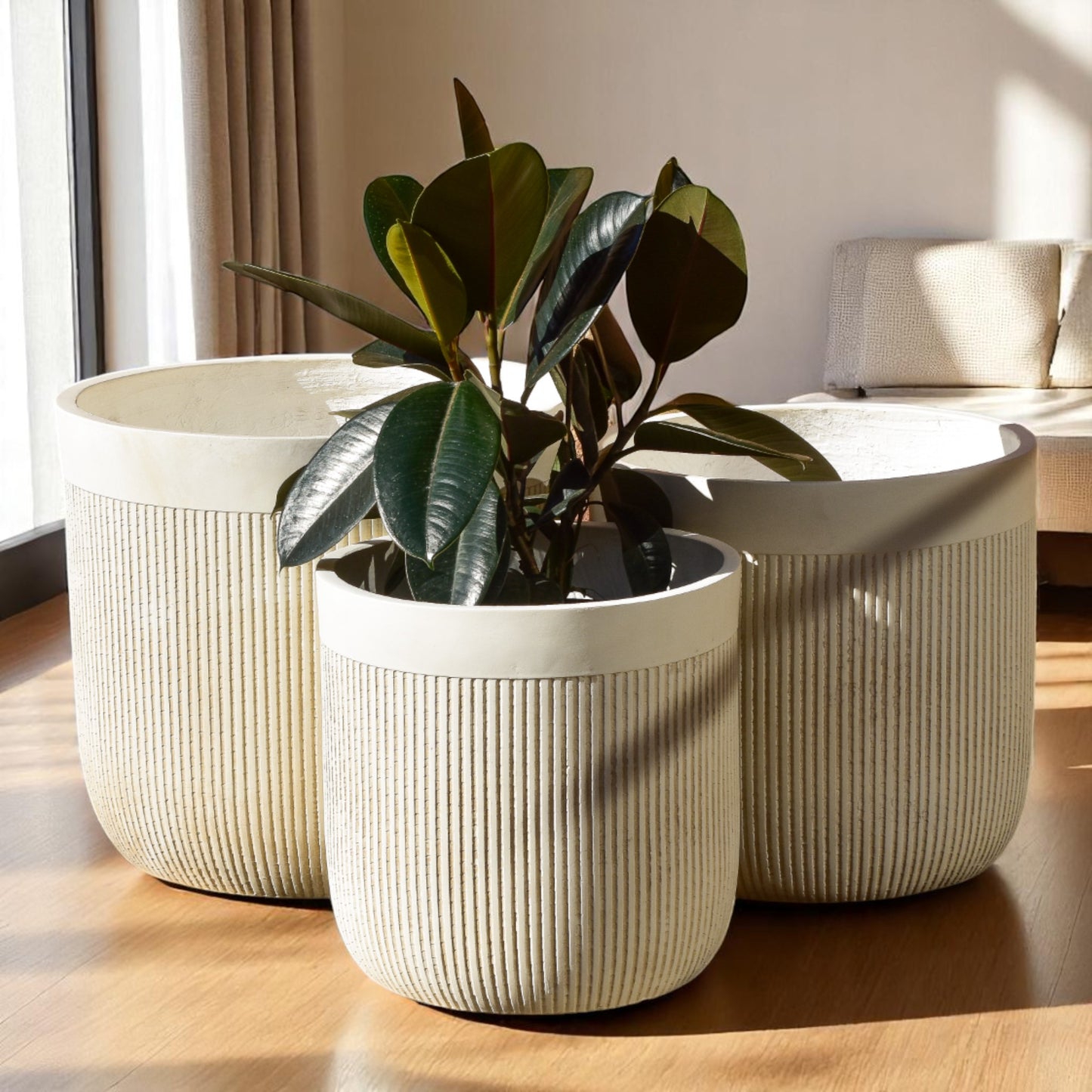 Elara Collection
