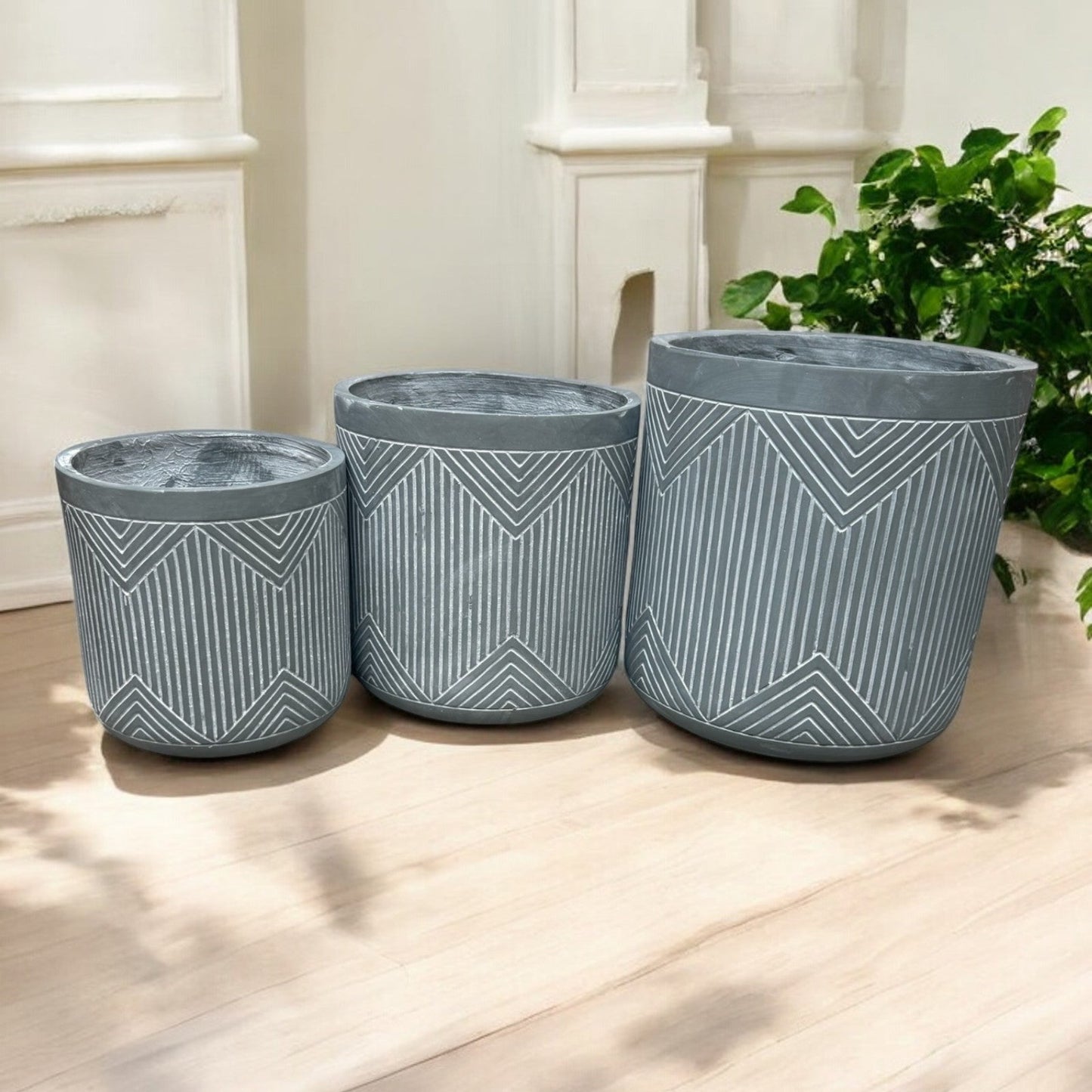 Havar Collection
