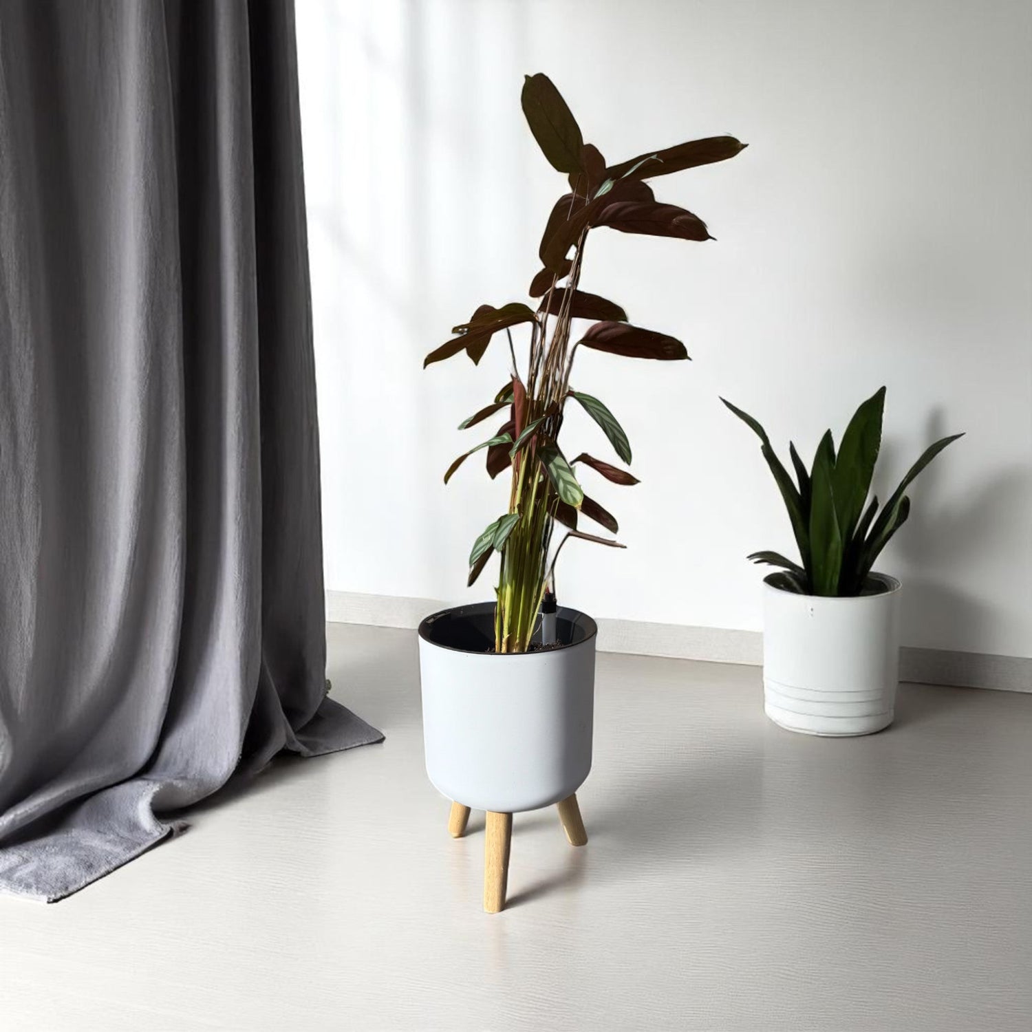 Self-Watering Pots