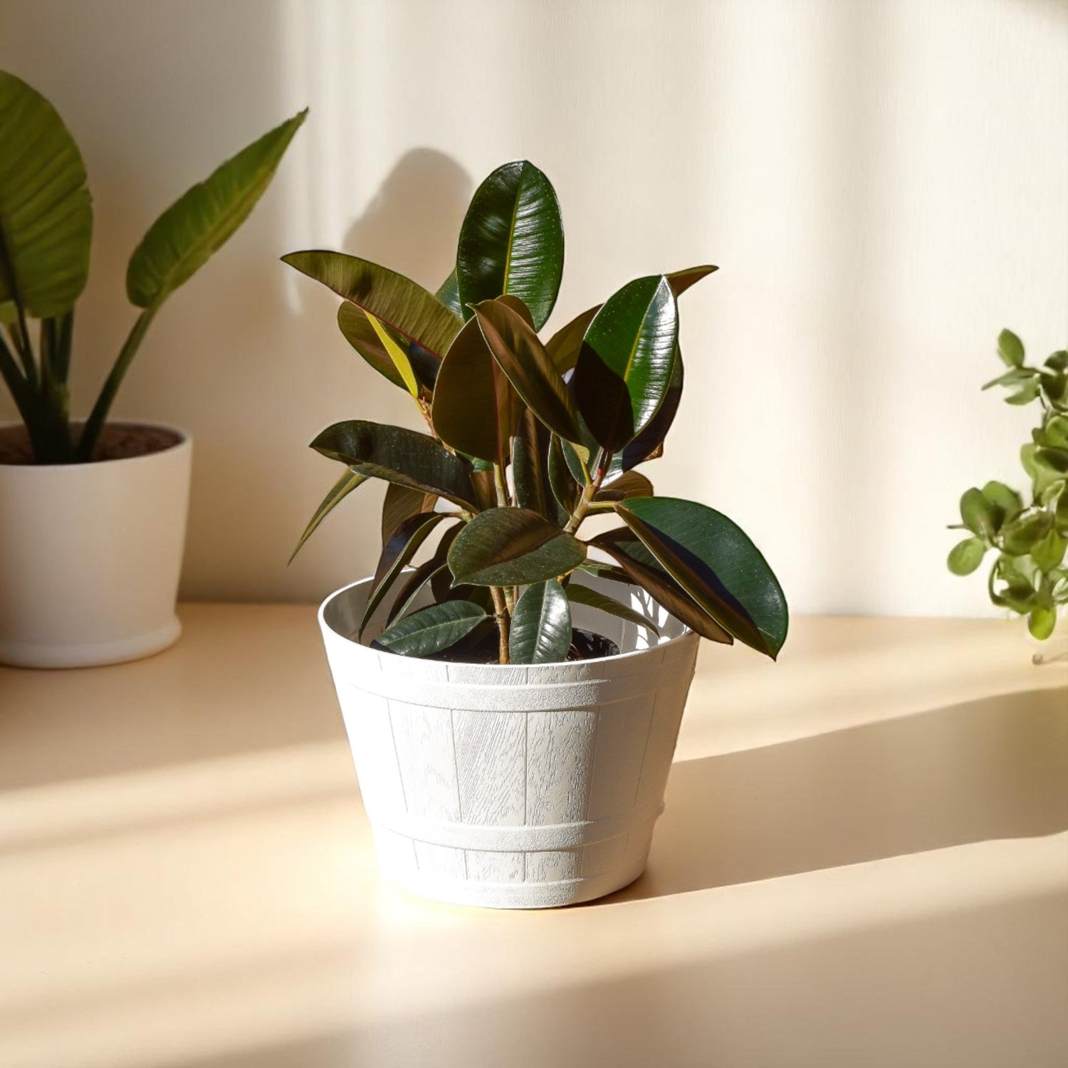 Plastic Pots And Planters