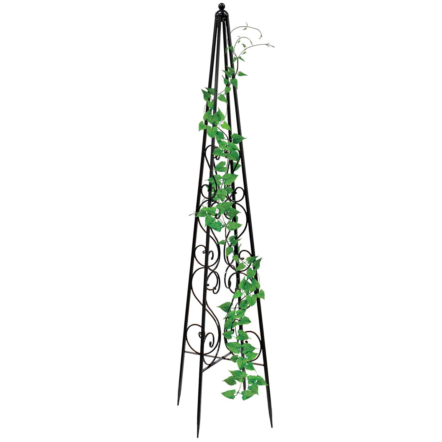 Plant Trainers