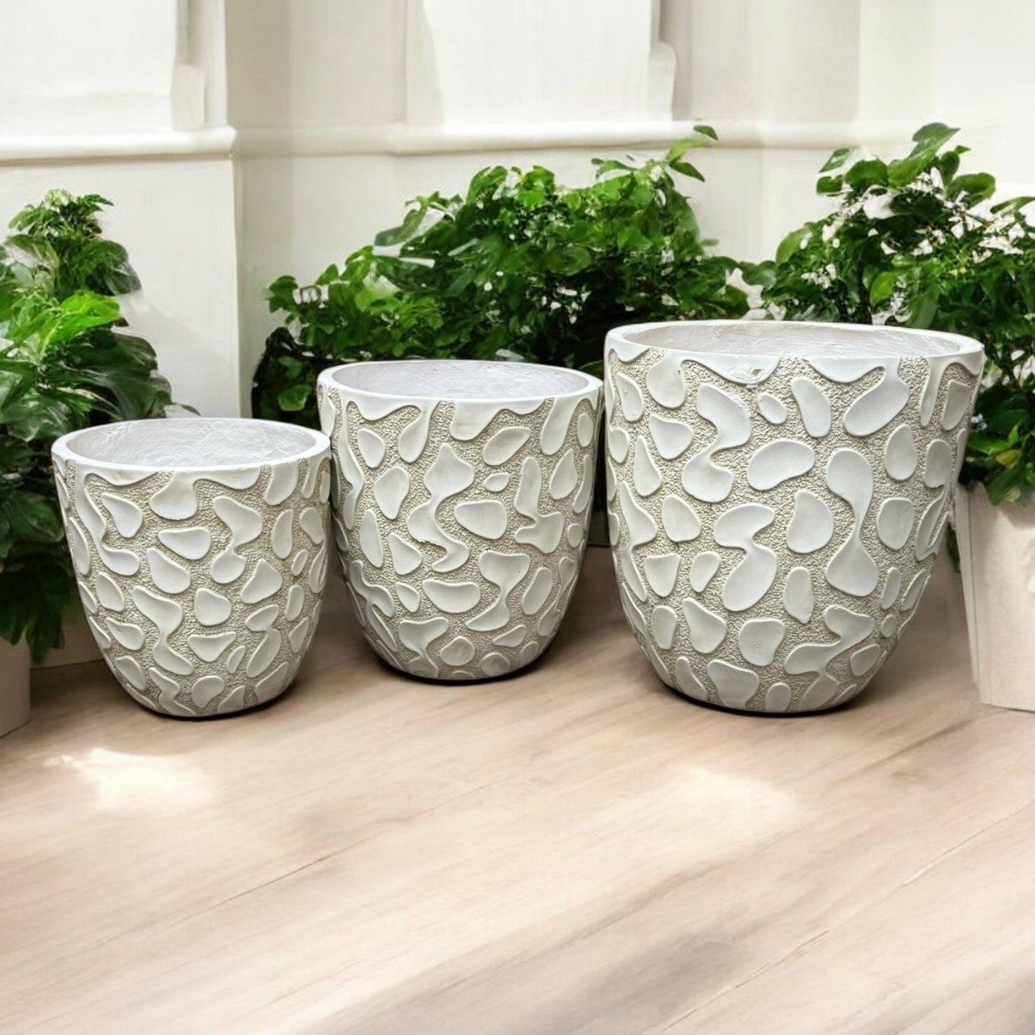 Fibreglass Pots & Planters