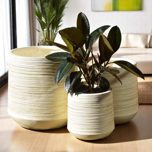 Stone Grove Collection