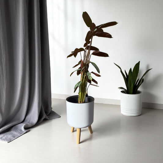 Oslo self watering