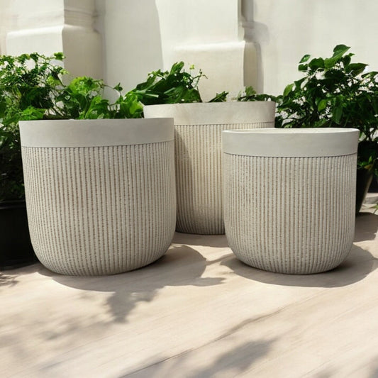 Elara Collection